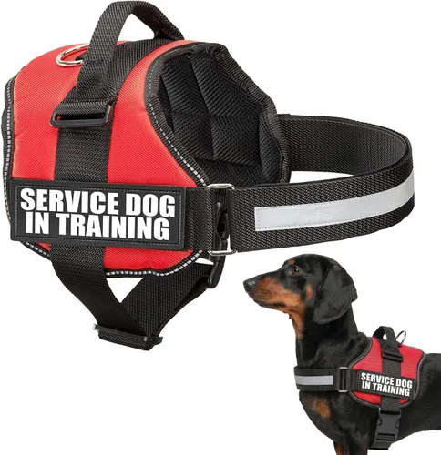 Miniatura 2 de Industrial Puppy Arnés de chaleco de entrenamiento para perro de servicio, chaleco duradero y ajustable con correas reflectantes, parches