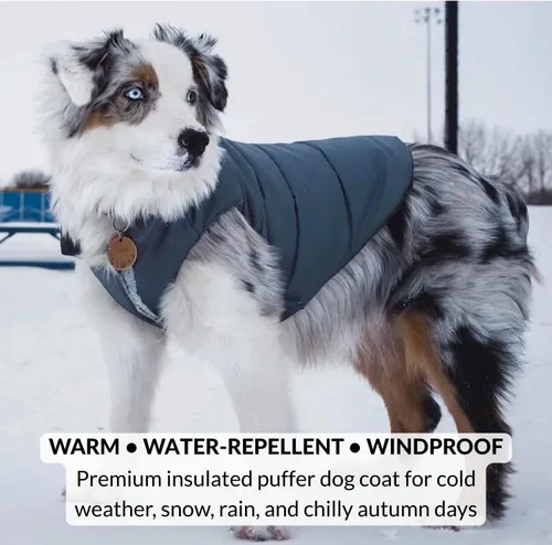 Miniatura 2 de DJANGO Abrigo acolchado reversible para perro – Chaqueta cálida de invierno para perro y abrigo aislante repelente al agua con agujero para arnés