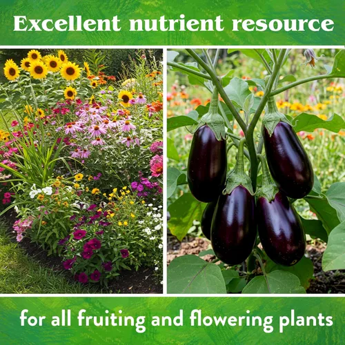 Miniatura 7 de Down To Earth All Natural Fertilizers Fosfato de Roca Orgánico - Alimento Vegetal de Fosfato de Calcio para Macizos de Flores y Huertos de Vegetales