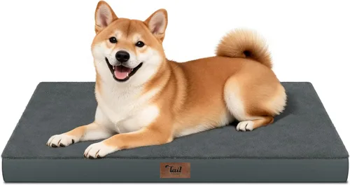 Miniatura 63 de Cama ortopédica de felpa para perros y cachorros medianos, camas impermeables para perros de 30 x 20 pulgadas con funda extraíble lavable, tapete