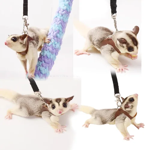 Miniatura 4 de MANON ROSA Sugar Glider - Juego de arnés y correa, chaleco ajustable de 3 piezas a prueba de escapes para ardillas, ratas, ratones, ratones y 01