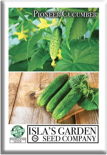 Pioneer - Semillas de pepino en vinagre (Cucumis sativus) – Más de 150 semillas de reliquia sin OMG de Isla's Garden Seeds, textura crujiente y