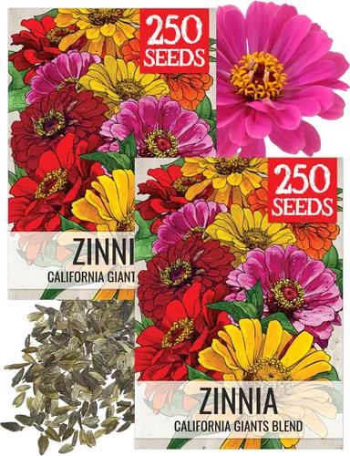 Miniatura 56 de Seed Needs California Giants - Semillas de zinnia – 250 semillas tradicionales para plantar Zinnia elegans – Cultiva flores anuales polinizadas
