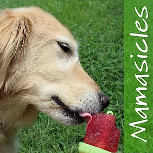 Miniatura 8 de Moldes Popsicle, molde creador Ice Pop Tupperware de calidad 6 piezas sin BPA por Mamasicles
