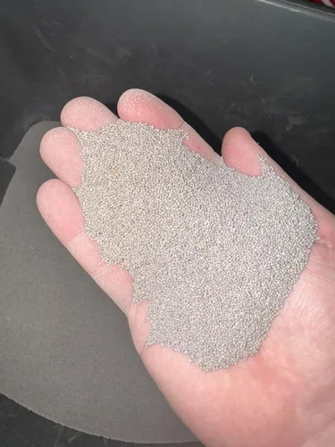 Miniatura 5 de Micro Clover - (8 onzas) recubierto de nitro, 120,000 semillas en total - Cubre hasta 1,000 pies cuadrados. Transforma tu césped con semillas
