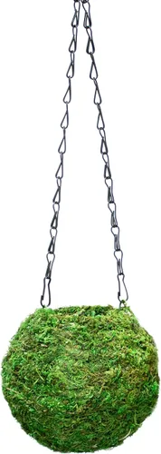 Miniatura 7 de SuperMoss (29346) Kokedama Maceta, 4 pulgadas, verde fresco