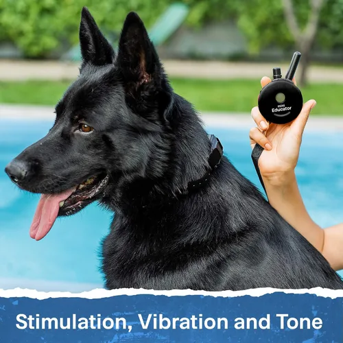 Miniatura 7 de Educator ET-302 Collar Mini Negro E para Adiestramiento de Perros con Control Remoto - Alcance de 1/2 Milla, Resistente al Agua, 100 Niveles