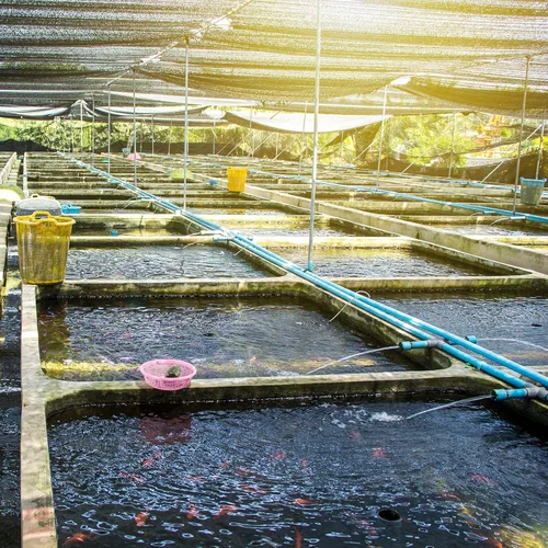 Miniatura 2 de M METERXITY Paquete de 2 tubos de silicona – Tubo de manguera flexible de alta temperatura que se aplica a la industria doméstica