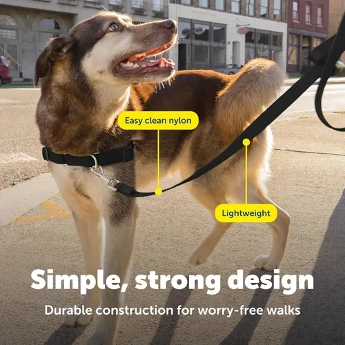 Miniatura 4 de PetSafe Correa de nailon para perro fuerte, duradera, estilo tradicional con broche de perno fácil de usar para perros pequeños, medianos y grandes