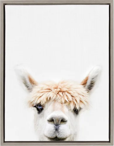 Kate and Laurel Sylvie Alpaca Bangs - Lienzo enmarcado para pared, diseño de retrato de animales por Amy Peterson, 18 x 24 pulgadas, gris 2-Gris