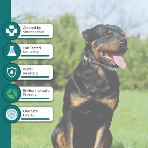 Miniatura 2 de Collar natural para pulgas y garrapatas para cachorros, proporciona protección de 24 meses, control seguro de plagas, impermeable y fuerte, incluye