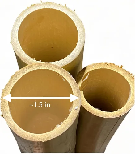Miniatura 3 de Paquete de 3 palos de bambú – 6 pies de largo Natural grueso bambú postes – 1.5 pulgadas de diámetro – estacas de jardín (beige)