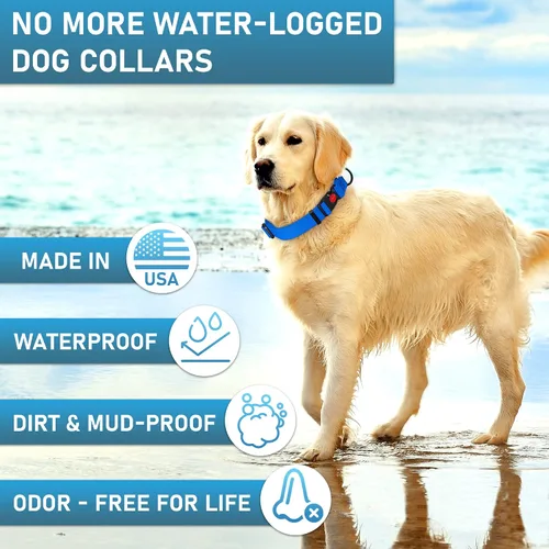 Miniatura 2 de Collar de perro ajustable con código QR identificación adjunta, fabricado en Estados Unidos, collar de perro resistente al agua con hebilla de Azul