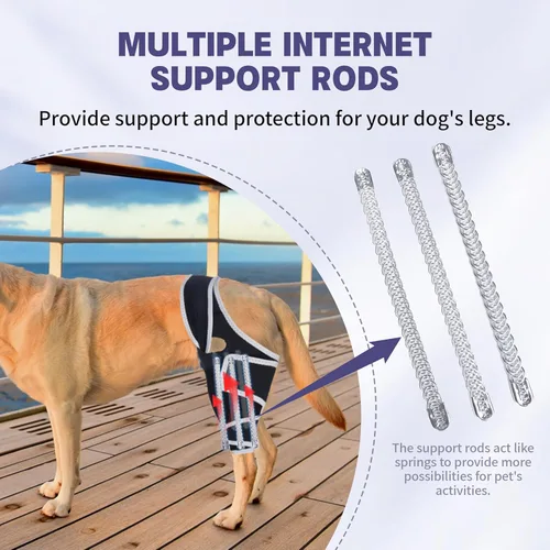 Miniatura 9 de Rodillera para perros para todas las piernas, rodillera ajustable para perros desgarrados en la pierna trasera, mantiene las articulaciones