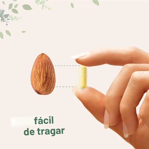 Miniatura 5 de Micro Ingredients Saffron+ Advanced Supplements, 60 cápsulas vegetarianas – 10 en 1 con extracto de azafrán, vitamina C soluble en grasa de alta