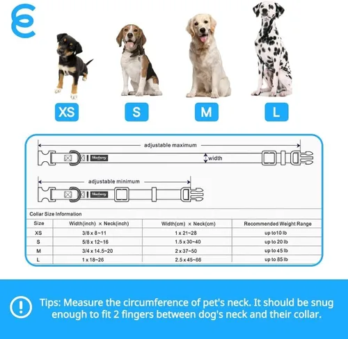 Miniatura 4 de Blueberry Pet Essentials - Collar grande para perro en turquesa, correa de nailon duradera ajustable y ecológica, collar clásico para perros