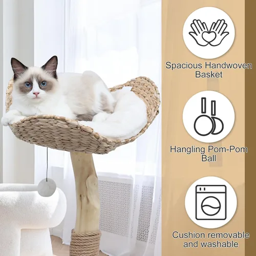 Miniatura 4 de Torre de árbol para gatos de interior, moderno condominio para gatos de madera real con poste rascador, plataformas de salto, bola de juguete