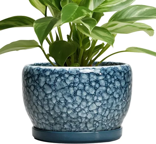 Miniatura 78 de SQOWL Macetas de cerámica – Maceta de 6 pulgadas con orificio de drenaje y bandeja, maceta redonda para plantas de interior, maceta decorativa