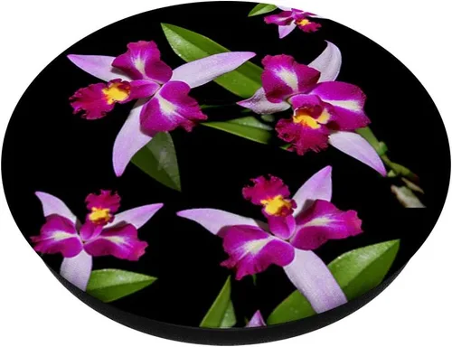 Miniatura 3 de Orquídea - Soporte para teléfonos y tabletas, Negro