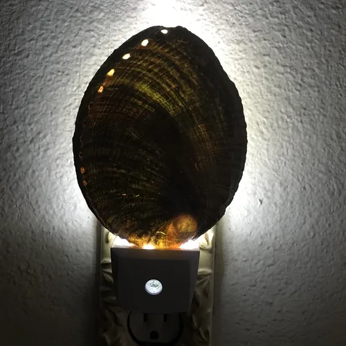 Miniatura 2 de PEPPERLONELY Conchas de mar de abulón verde natural, luz nocturna náutica natural conchas de mar decoración del hogar, sensor automático LED luz