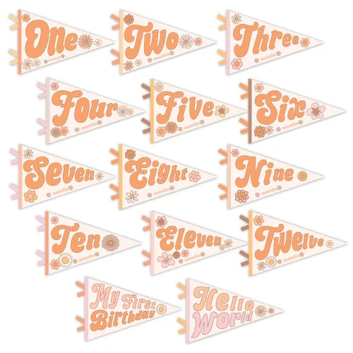 Miniatura 6 de Lucy Darling Petit – Banderas de hitos mensuales para bebé – Banderines de hitos para recién nacidos, accesorios para fotos y decoración de Marrón