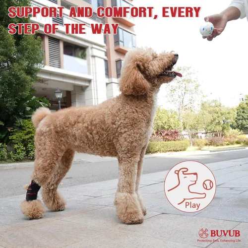 Miniatura 5 de Soporte de hockey para perro para pierna trasera, tiras de resorte de metal integradas para esguinces, artritis, lesiones de ligamentos