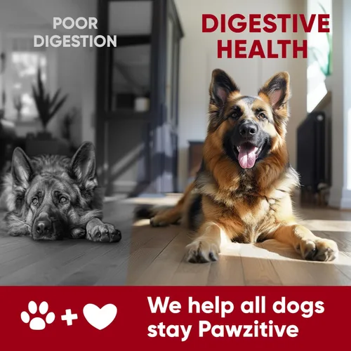 Miniatura 7 de Probióticos para la salud digestiva de los perros, masticables probióticos para la salud intestinal, levadura con picazón en la piel, diarrea