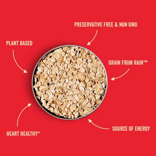 Miniatura 4 de Stoked Oats - Stone Age - Desayuno alto en proteínas, bajo en azúcar - Sin gluten, alta fibra, avena sin OMG - Perfecto para avena durante la noche