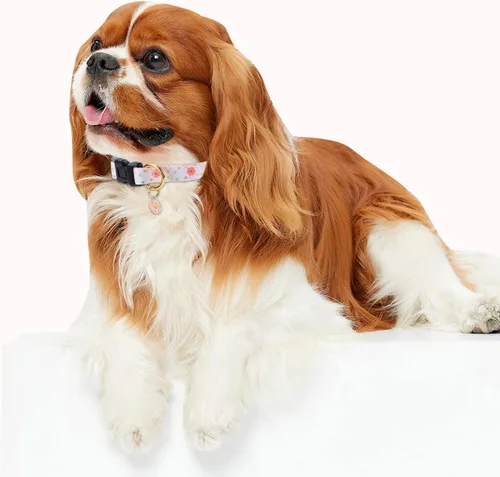 Miniatura 5 de Collar de perro de algodón hecho a mano para perros pequeños, medianos y grandes, margarita beige con colgante, lindos collares de perro (L)
