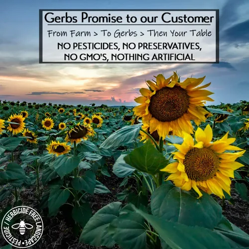 Miniatura 4 de GERBS, núcleos de semillas de girasol; sin Gluten, maní, árbol de nuez, soja, huevo, sésamo, mostaza, peces y crustáceos; 100 % naturales, veganos