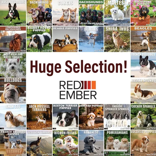 Miniatura 6 de RED EMBER Beagles - Calendario de pared 2025 de 12 meses, 12 x 24 pulgadas, abierto, papel grueso y resistente, para regalo, calendario 2025