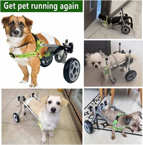 Miniatura 6 de Small Dog Wheelchair for Back Legs Dog Wheelchair Cart, Brace and Hip Support, Walking Mobility Aids Light Weight Dog Rehabilitation Brace