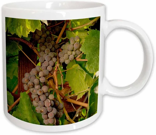 Miniatura 11 de 3dRose Danita Delimont – Vineyards – Estados Unidos, Oregón, Keizer, Pinot Gris Vineyard – US38 RBR0729 – Rick A Brown – Tazas, Negro/Blanco