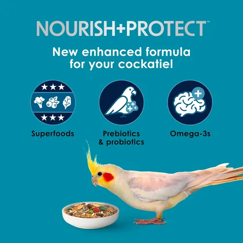 Miniatura 3 de Comida saludable para pájaros Kaytee Forti Diet Pro, para periquitos, Pastel de cumpleaños