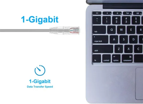 Miniatura 5 de Monoprice - Cable de conexión Ethernet Cat6 14 pies, gris, nivel de componente, UTP 28AWG 550 MHz, cable de cobre desnudo puro, sin enganches, RJ45