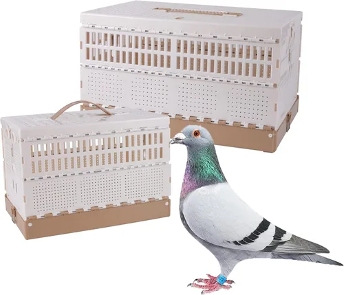 Jaula plegable de plástico para palomas con asa, jaula portátil de viaje para pájaros, jaula de emparejamiento, caja nido de palomas, fácil de