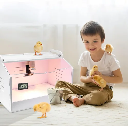 Miniatura 3 de Caja inteligente para cría 10-15 recién nacidos, pollitos, codorniz, pájaros, animales pequeños, incubadoras manuales, calentador de aves de corral