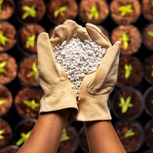 Miniatura 6 de Perlite Bliss (16 qts) - Perlite orgánico para plantas - Perlite grueso a granel como enmienda del suelo - Perlite en trozos para plantas, tierra