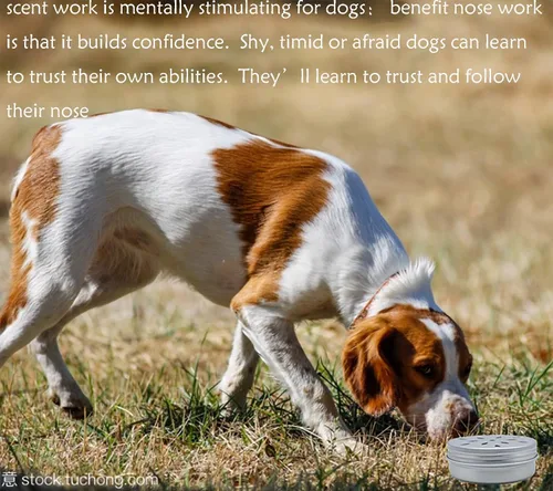Miniatura 5 de CHENGXINWENHUA Paquete de 6 latas de trabajo para perros, caja de entrenamiento con aroma de perro, contenedores de trabajo para nariz de perro