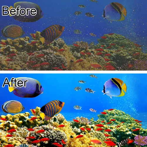 Miniatura 6 de Paquete de 6 cartuchos de filtro de acuario para filtros Whisper Bio-Bag, cartuchos de filtro de repuesto grandes para filtros Whisper 20i
