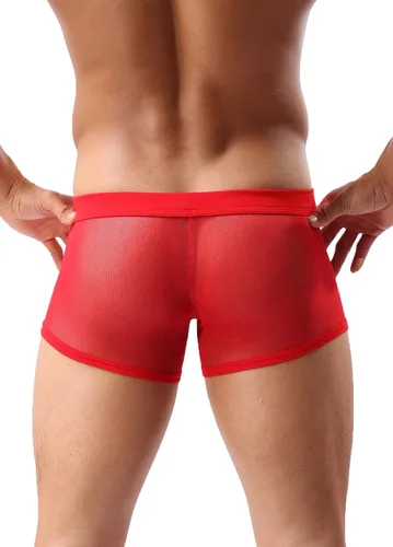 Miniatura 3 de Calzoncillos tipo bóxer de malla transpirable para hombre, lencería hueca transparente