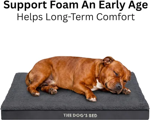 Miniatura 5 de The Dog's Bed - Cama ortopédica para perro, felpa gris grande, impermeable, cama de apoyo con fundas lavables reemplazables, aprobada por Peluche