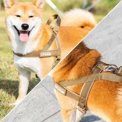 Miniatura 6 de EXCELLENT ELITE SPANKER Arnés sin tirones, arnés de nailon para perro, arnés ajustable para perros pequeños, arnés acolchado, entrenamiento para BLK