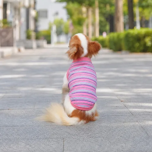 Miniatura 6 de LOPHIPETS Camiseta Chaleco 100% Algodón Acanalado para Perros Pequeños Teacup Chihuahua Yorkie Ropa de Cachorro Camiseta sin Mangas-Rosa/XS