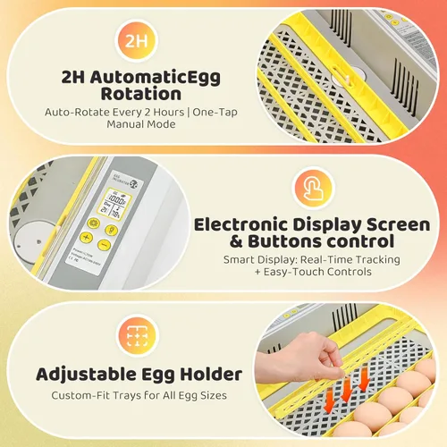 Miniatura 3 de Incubadora de 36 huevos para incubar pollitos con control automático de temperatura y humedad, vista panorámica multifuncional ultra clara con días