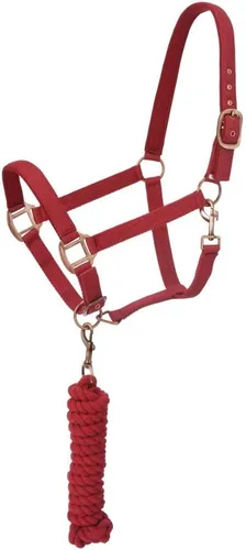 Miniatura 3 de Tough 1 Tough-1 Cabestro (halter) acolchado de neopreno con hebillas estilo antiguas, incluye correa de guía