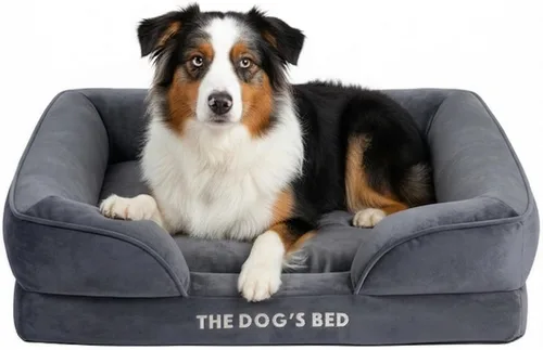 Miniatura 15 de The Dog's Bed - Cama para perros de espuma con soporte para perros XXL, Oxford gris, cama para perro lavable con forro impermeable extraíble, base