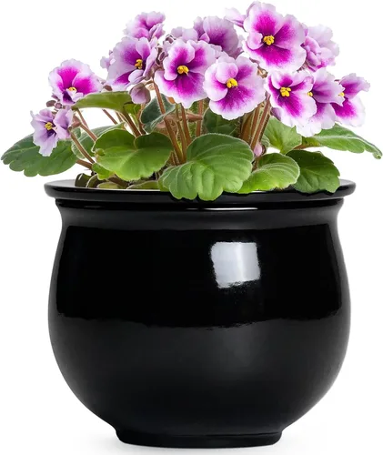Miniatura 14 de Macetas de riego automático de 6 pulgadas para plantas de interior, macetas de cerámica violeta africana con maceta interior absorbente, maceta