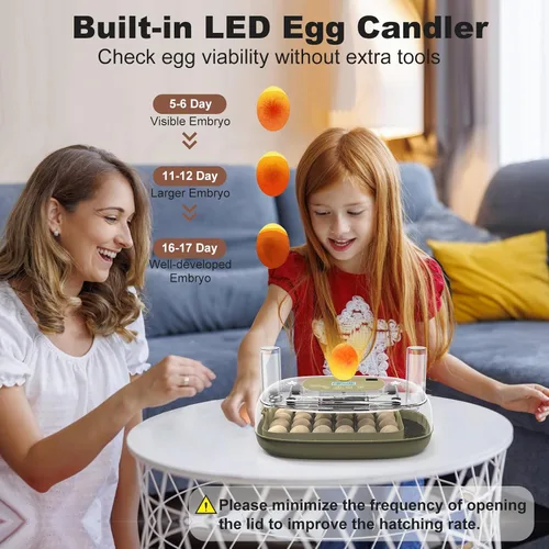 Miniatura 7 de Incubadoras para incubar huevos, incubadora inteligente de 24 huevos con giro automático de huevos y control de humedad, incubadora de alta tasa