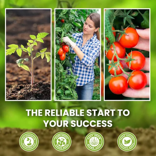 Miniatura 6 de Paquete variado de 10 semillas de tomate, más de 5000 semillas de tomate de jardín para plantar al aire libre e interior, regalo de jardinería